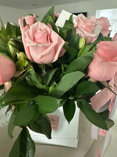 Customer photo review of Lexi Box - Pink