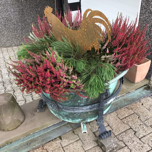 Customer photo review of Gartenstecker Hahn