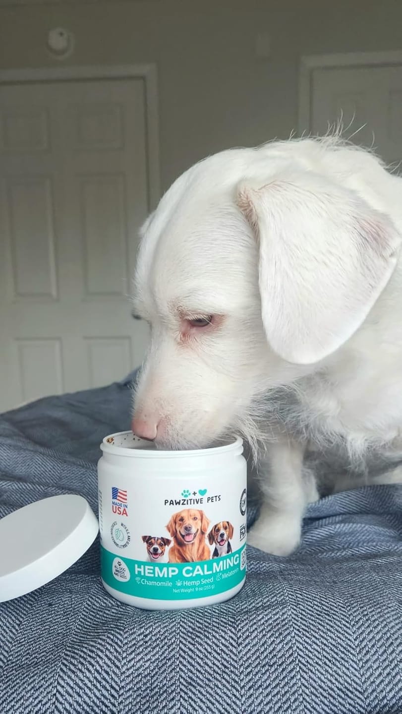 Customer photo review of Hemp Calming Chews for Dogs