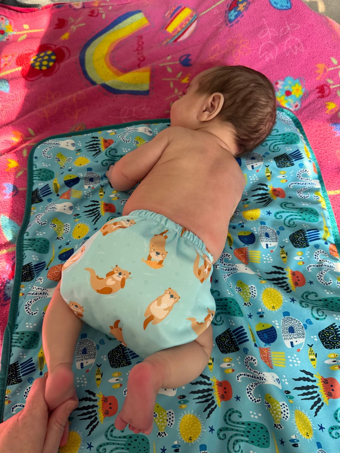 Customer photo review of Animals and Insects: Essentials Pocket Cloth Diaper with Athletic Wicking Jersey, Grows with your Baby