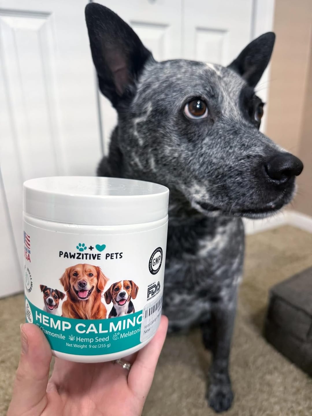 Customer photo review of Hemp Calming Chews for Dogs