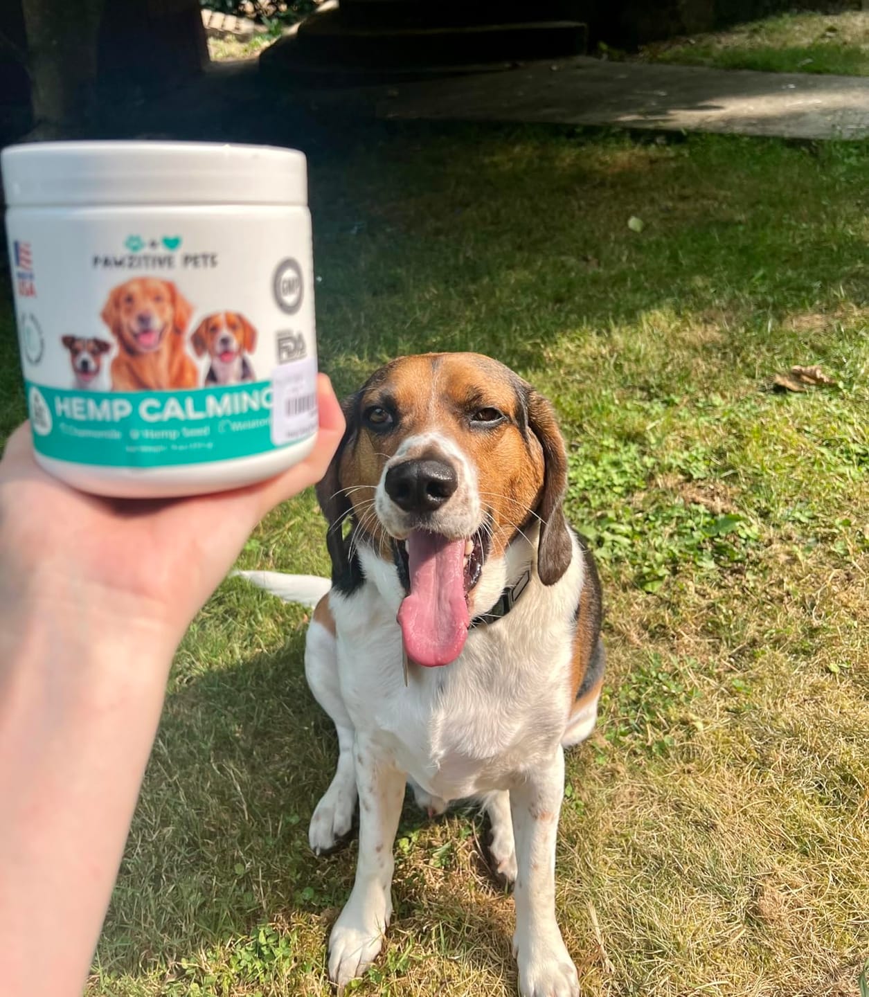 Customer photo review of Hemp Calming Chews for Dogs