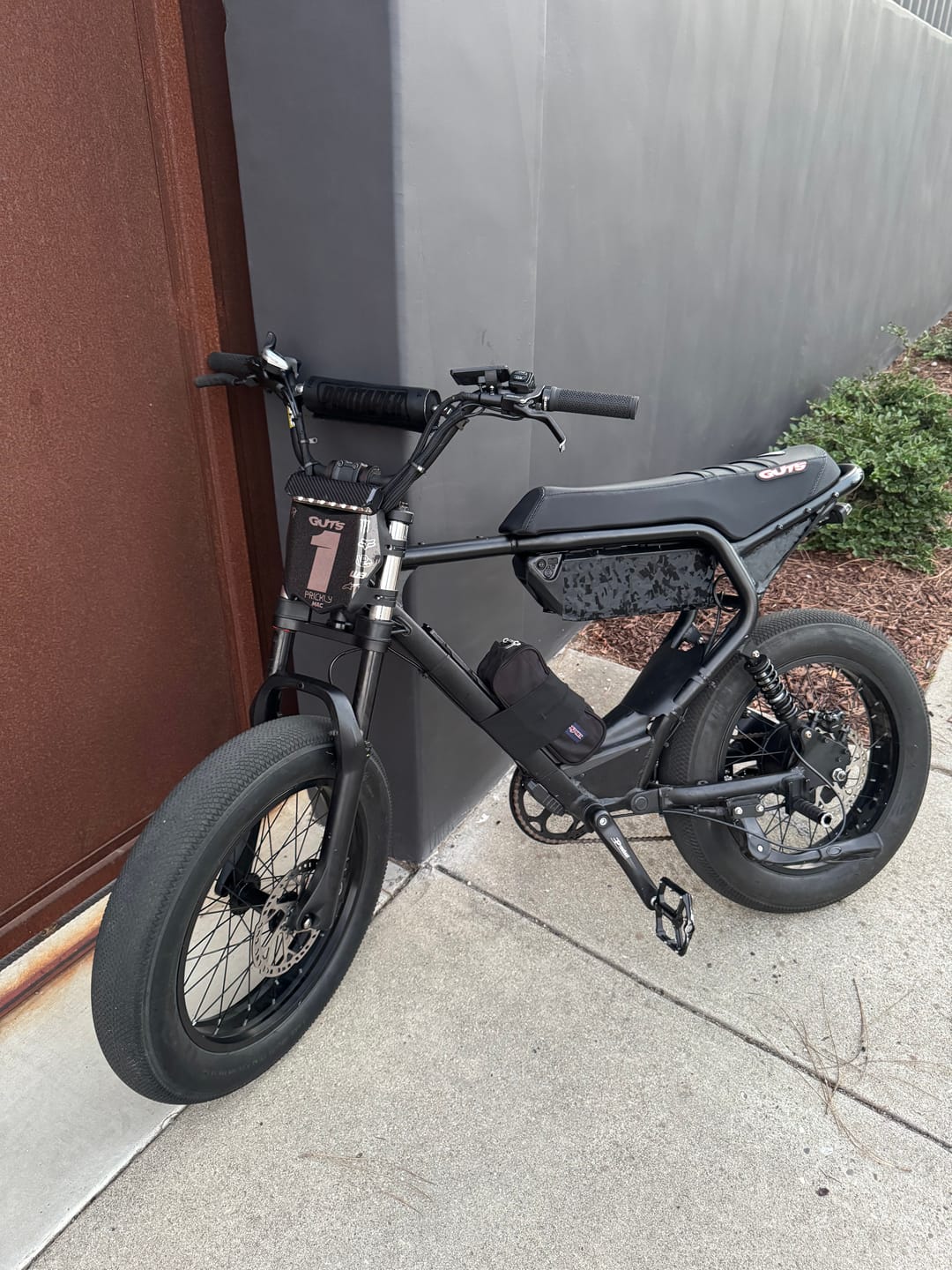 Customer photo review of Macfox X2 Electric Mountain Bike