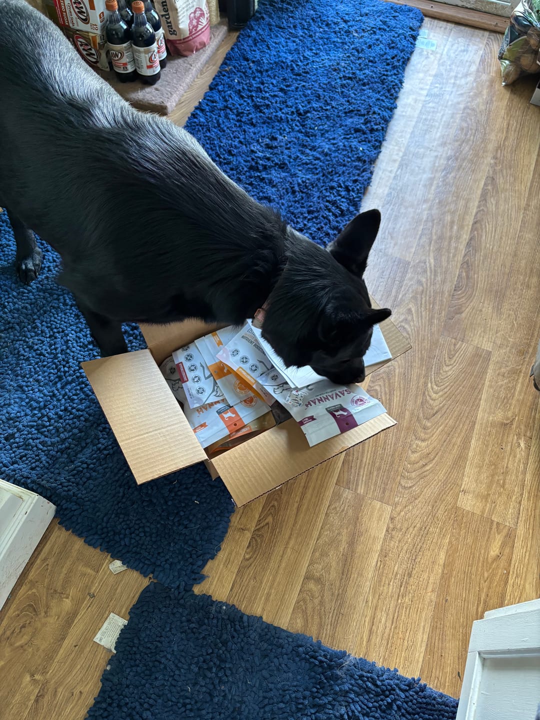 Customer photo review of 3-Pack Immune-Boosting Ostrich Dog Treat Box