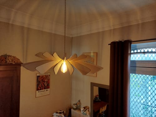 Customer photo review of Aurora | Suspension