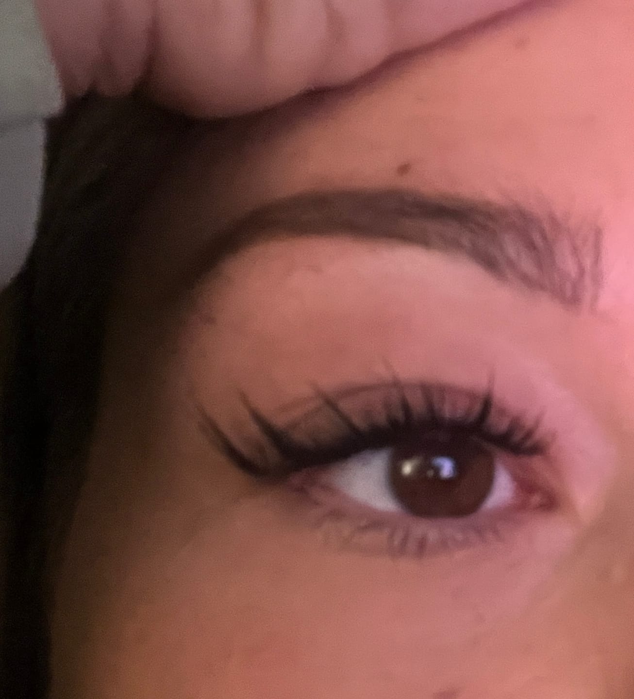 Customer photo review of Velvet Wing