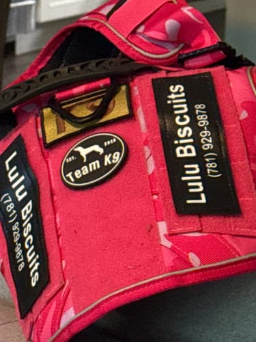 Customer photo review of Custom Hook & Loop Patch For Harness (1 Pair)