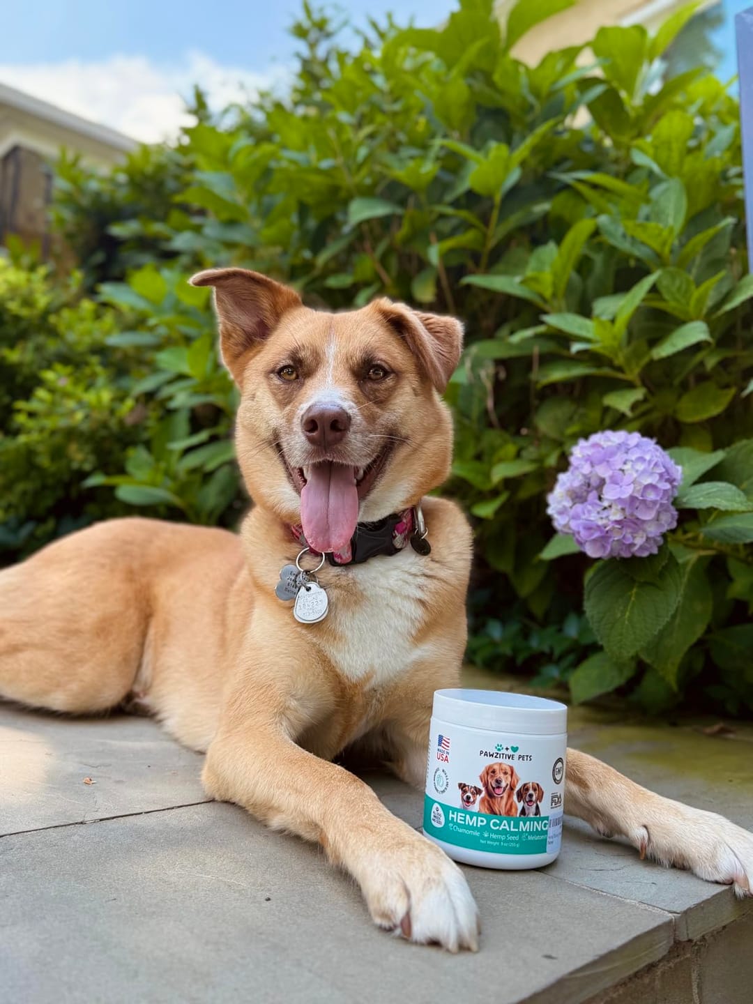 Customer photo review of Hemp Calming Chews for Dogs