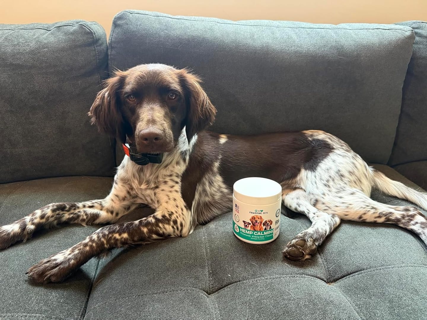 Customer photo review of Hemp Calming Chews for Dogs