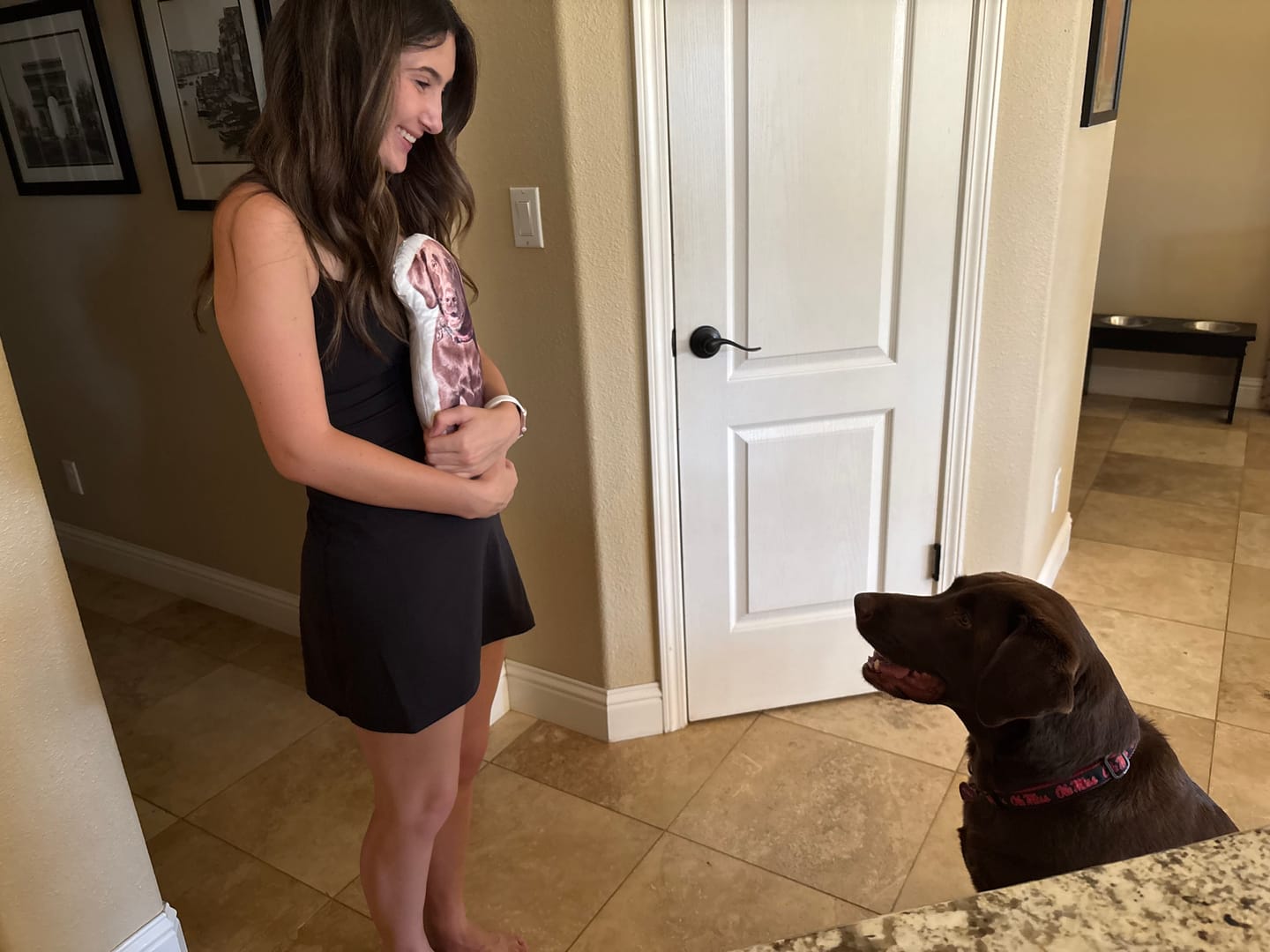 Customer photo review of Custom Dog Shaped Memorial Pillow for Pet Owners from Your Pet Picture