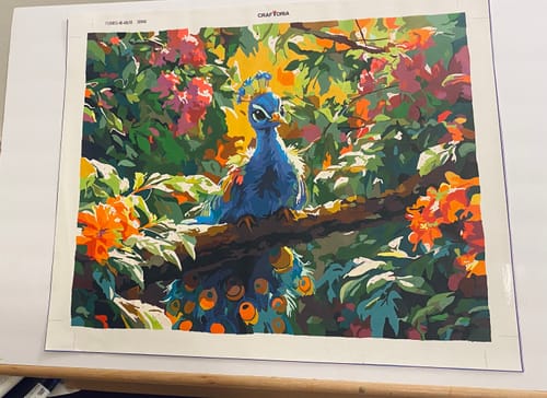 Customer photo review of Sunlit Perch