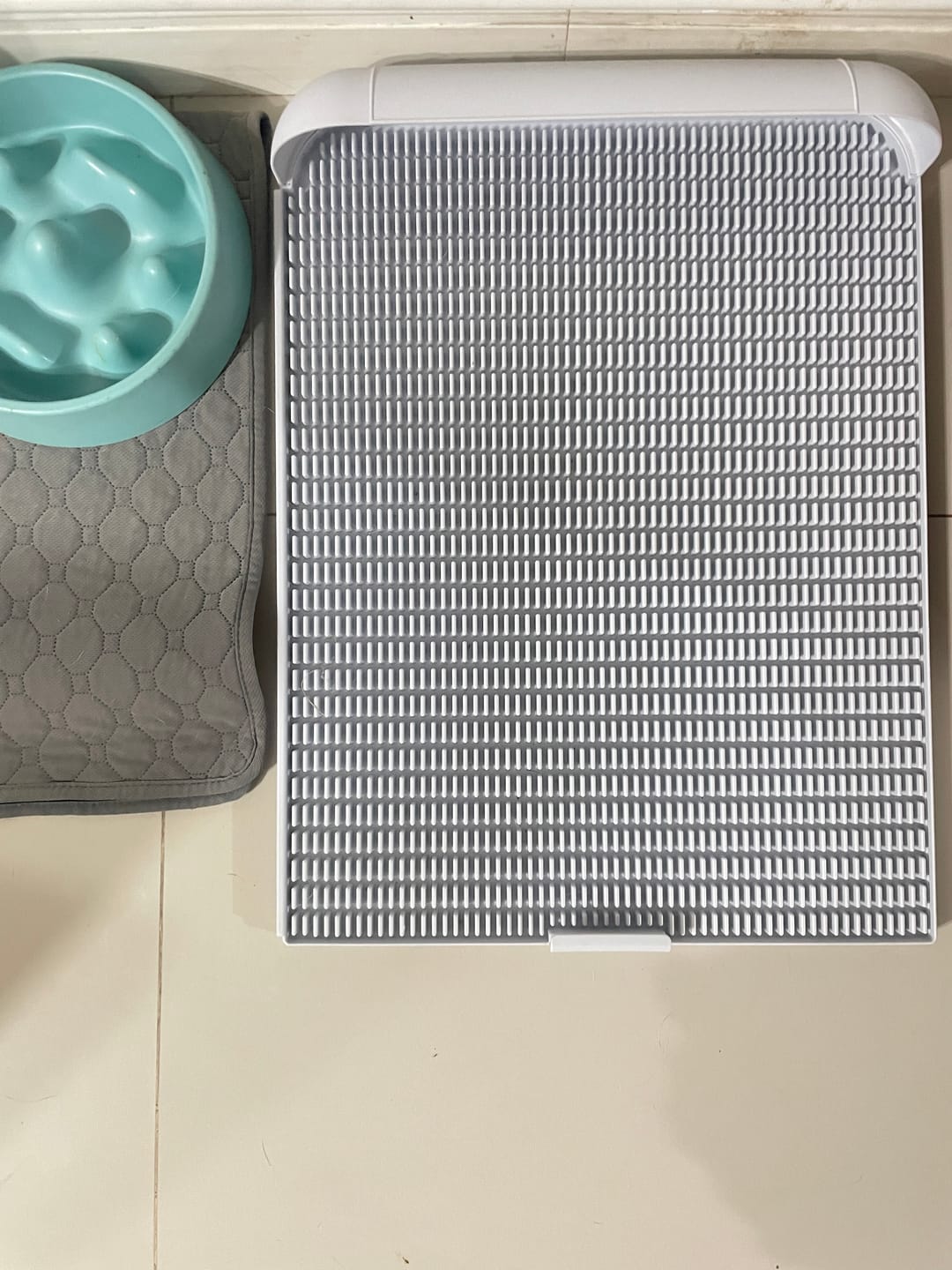 Customer photo review of Extended Protrusion Potty Pad (Size L)