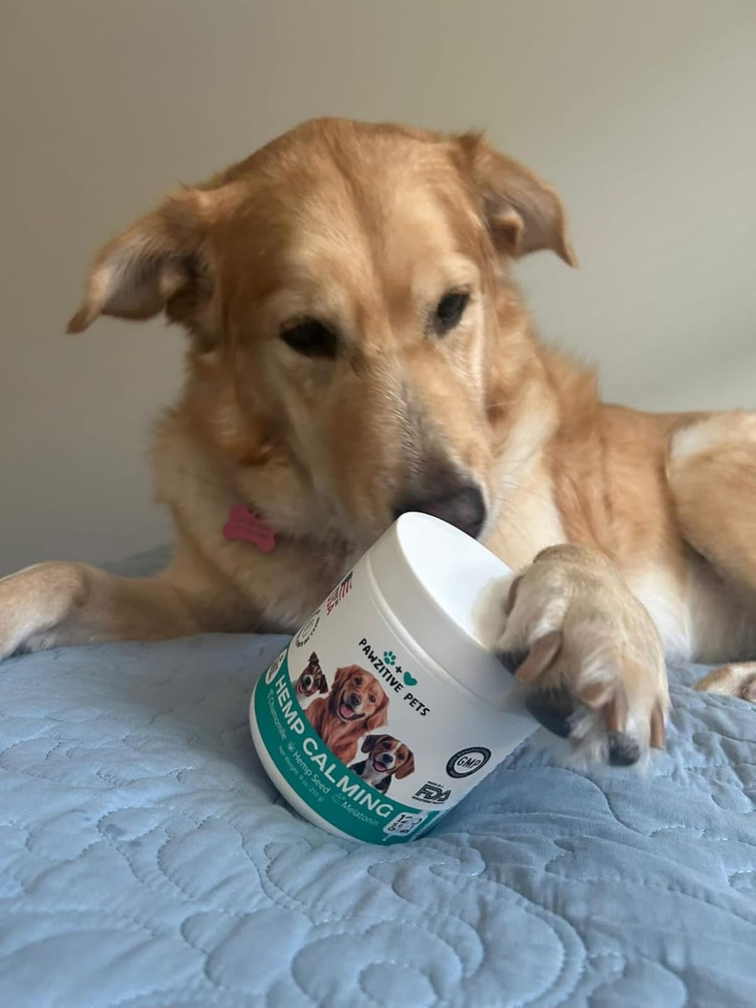 Customer photo review of Hemp Calming Chews for Dogs