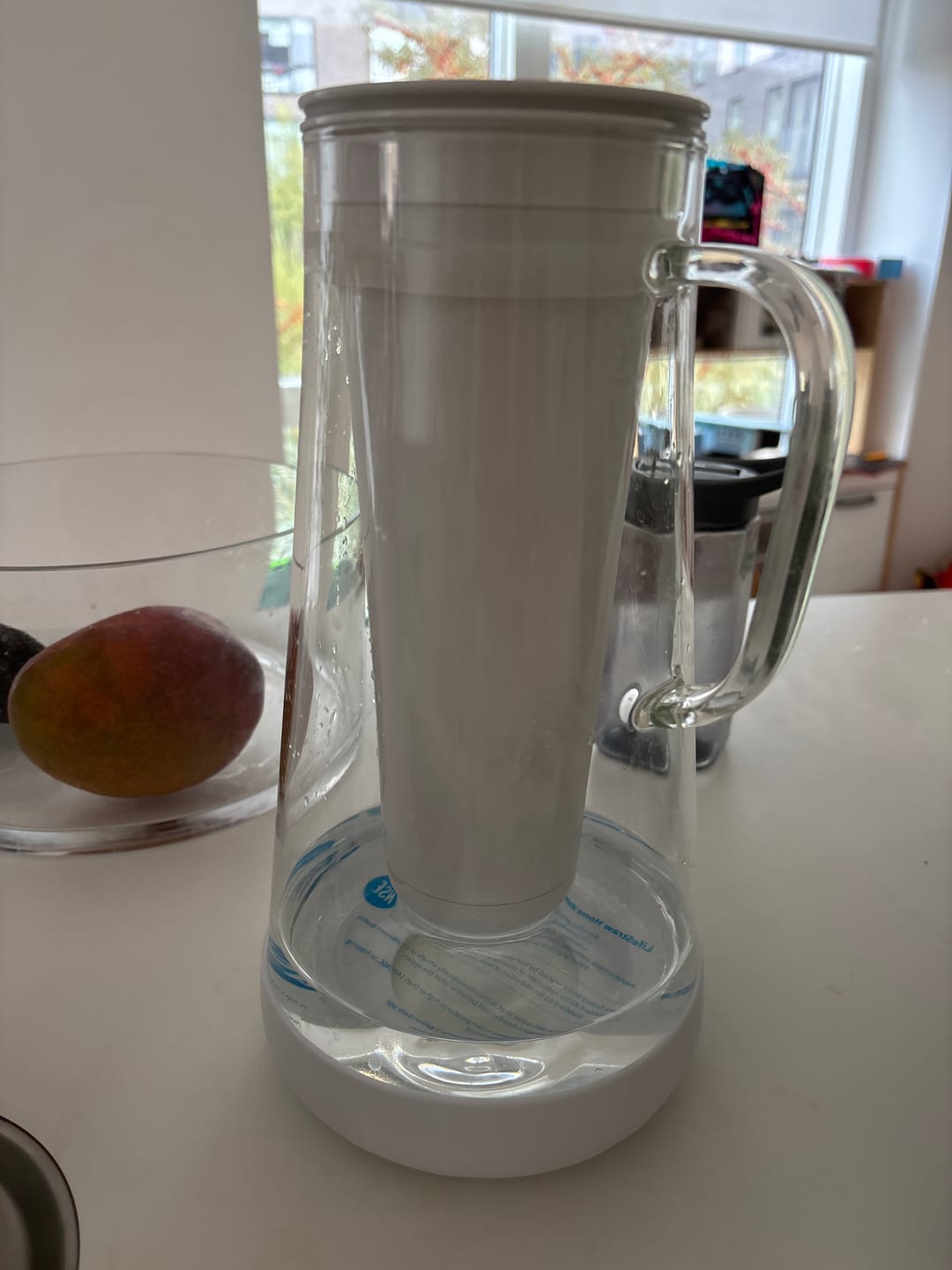 Customer photo review of LifeStraw Home 7-Cup Glass