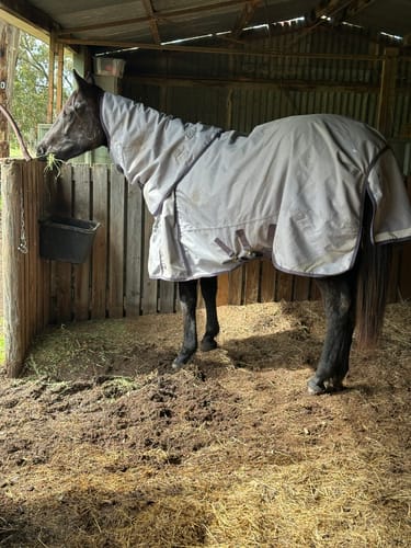 Customer photo review of LE Boxter Turnout Ripstop 50g