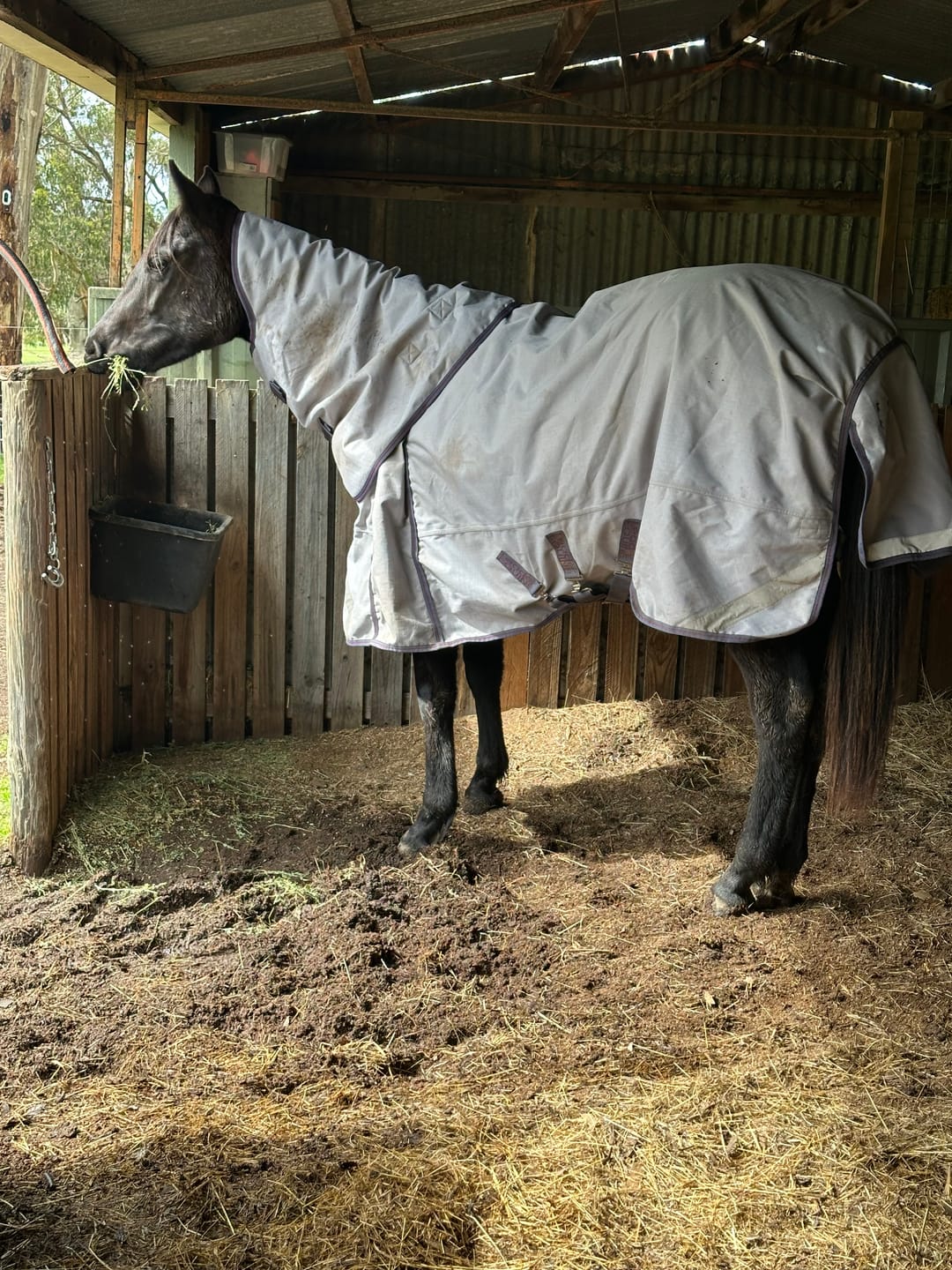 Customer photo review of LE Boxter Turnout Ripstop 50g