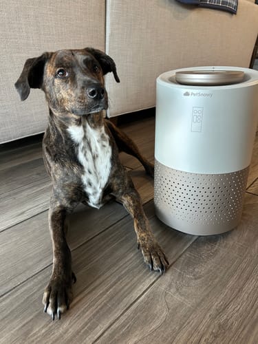 Customer photo review of Pet Air Purifier
