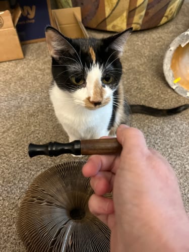Customer photo review of Cinnamon Hearts Cores