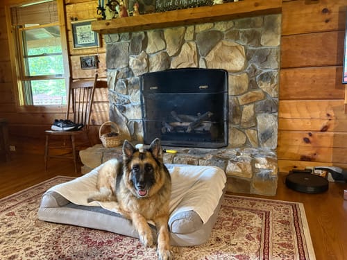 Customer photo review of furMe Grooming Vacuum Tool Replacements