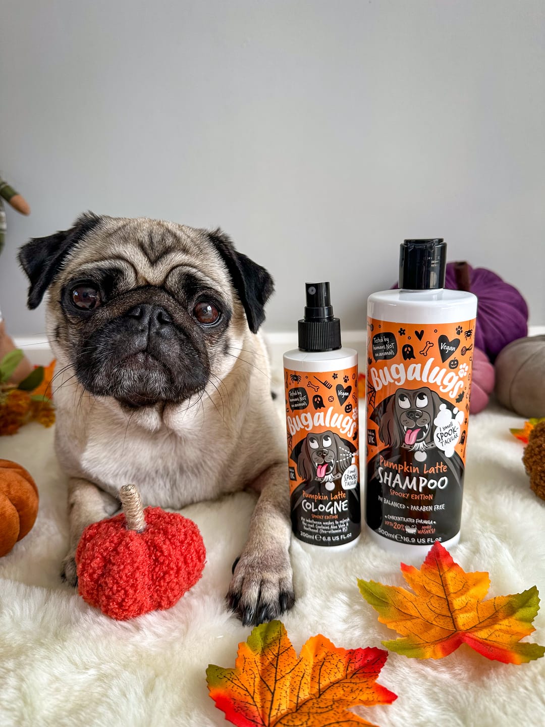 Customer photo review of Spooky Edition: Pumpkin Latte Bundle (Shampoo + Cologne)