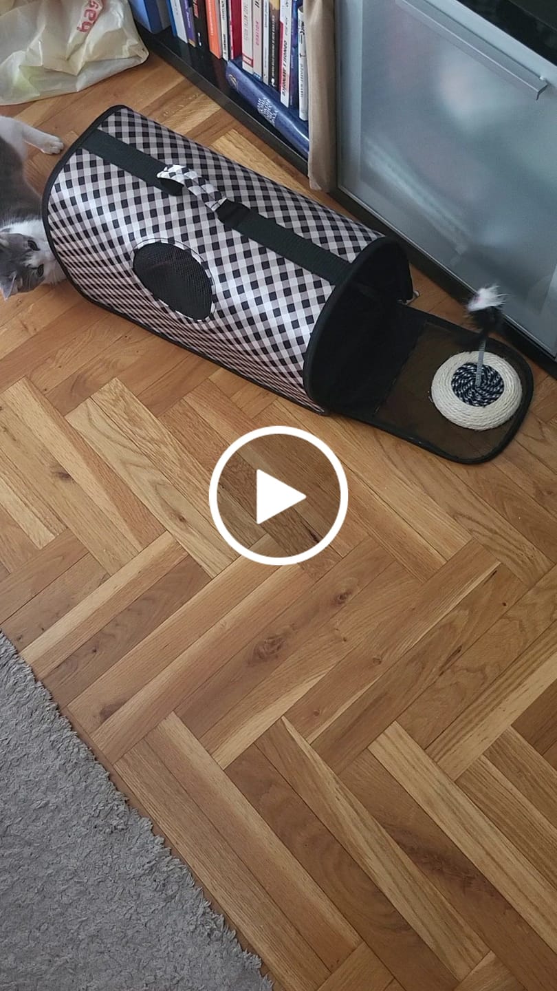 Customer video review of Pametna Interaktivna Loptica za Mačke