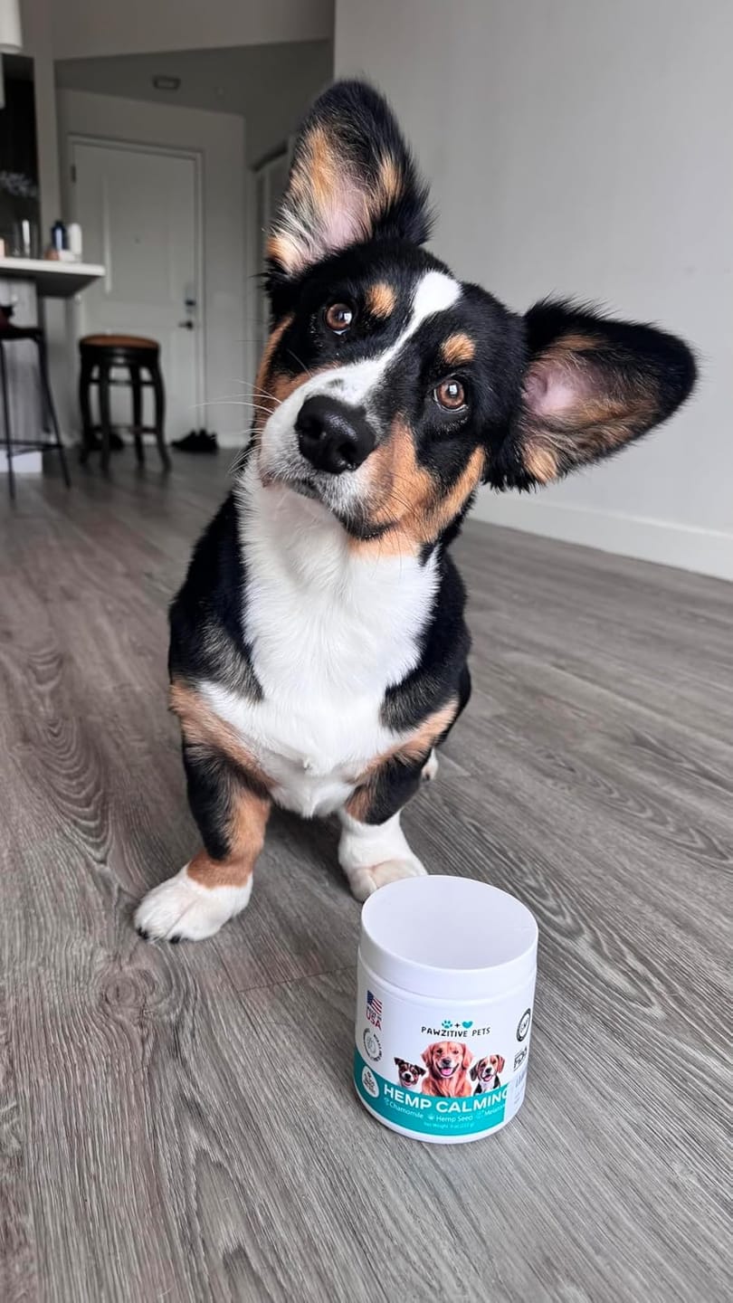 Customer photo review of Hemp Calming Chews for Dogs