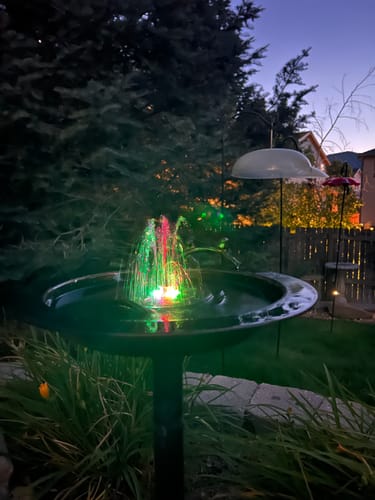 Customer photo review of Fontana Cast Iron Bird Bath with Solar Water Fountain Pump