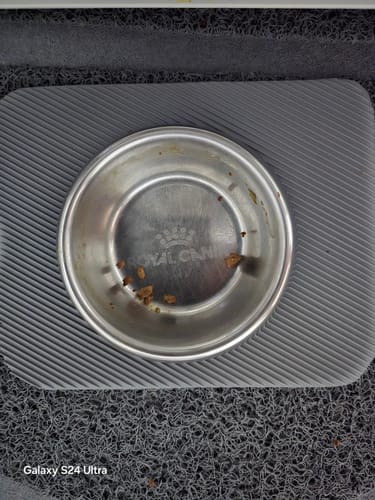 Customer photo review of Multipack d'effilés (Chat stérilisé et Chat adulte)