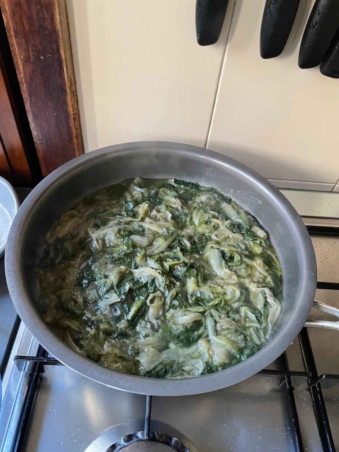 Customer photo review of Padella ∅ 26 cm - Superficie di cottura di puro titanio