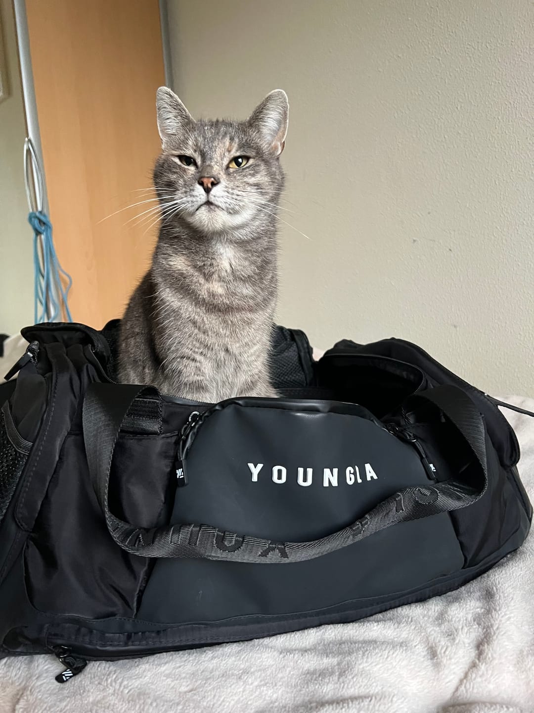 Customer photo review of 741 Hybrid Duffle Backpacks
