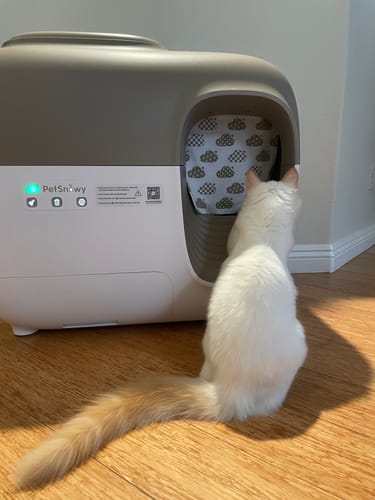 Customer photo review of Self-Cleaning Litter Box