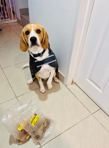 Customer photo review of Aussie Beef Ribs