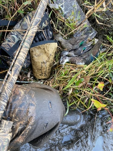 Customer photo review of FLASH SALE AquaWade Duck Waterfowl Hunting Breathable Chest Waders