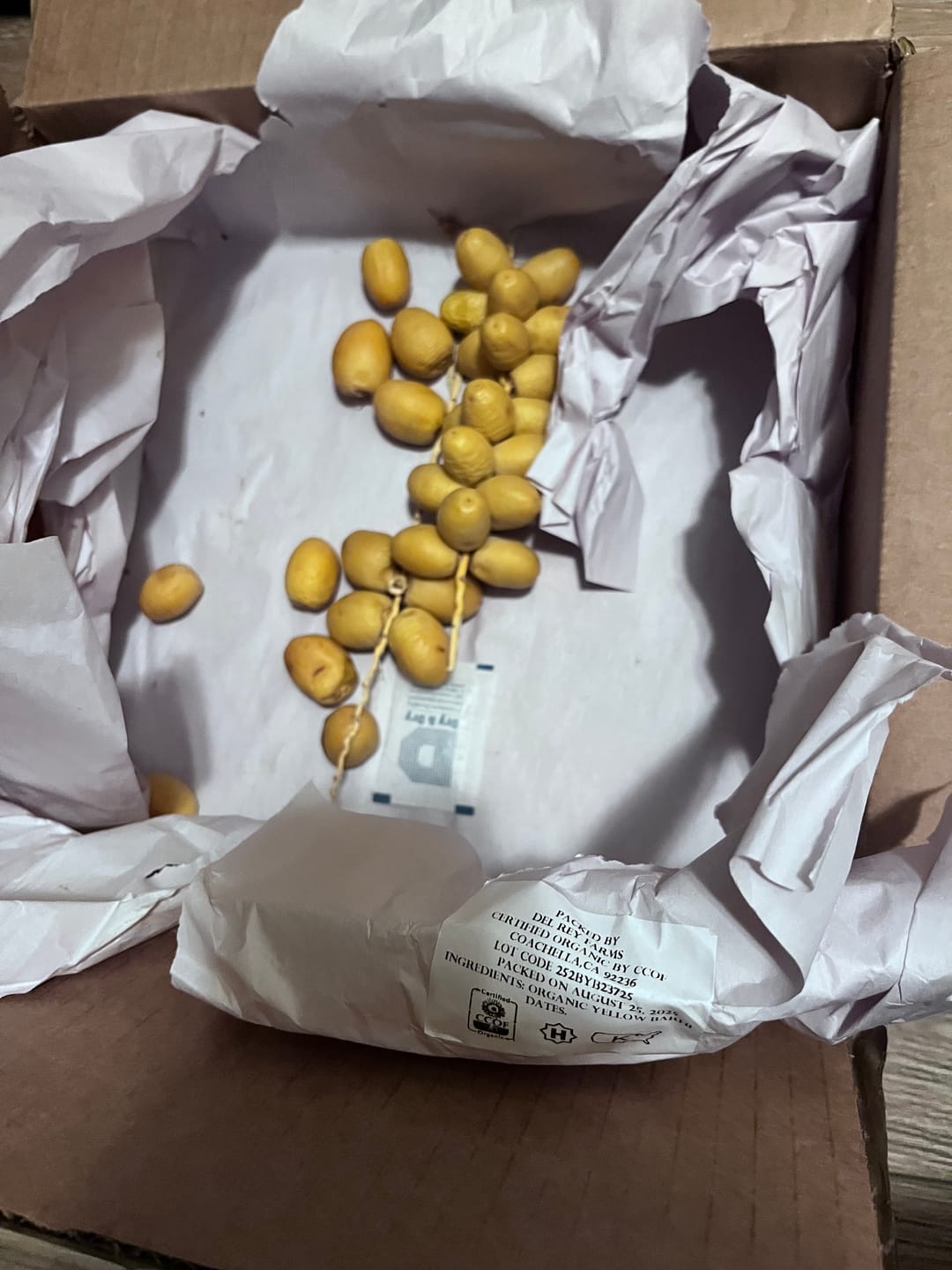 Customer photo review of Organic Yellow Barhi Dates (Khalal Barhi Dates)