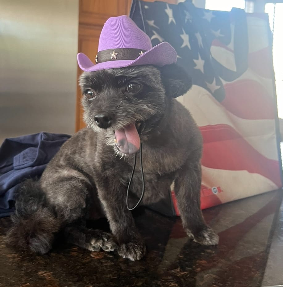 Customer photo review of Cowboy Dog Hat