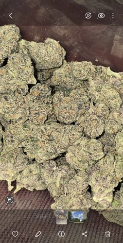 Customer photo review of Blackberry Kush - 28 Grams Littles - Indica