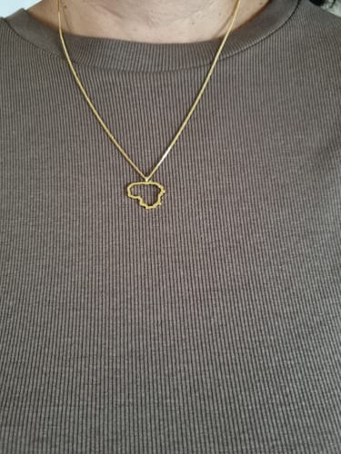 Customer photo review of Paauksuotas Sidabrinis pakabukas "Lietuva"
