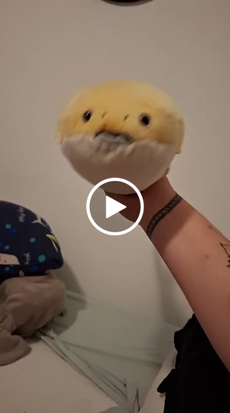 Customer video review of Sacabambaspis Prehistoric Fish Soft Stuffed Plush Toy