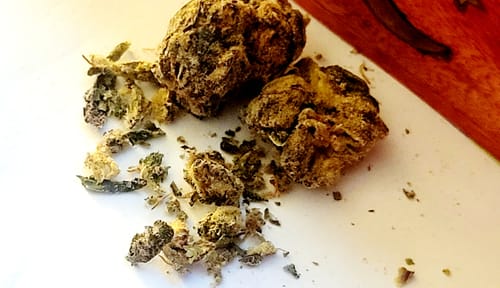 Customer photo review of Indoor Smalls