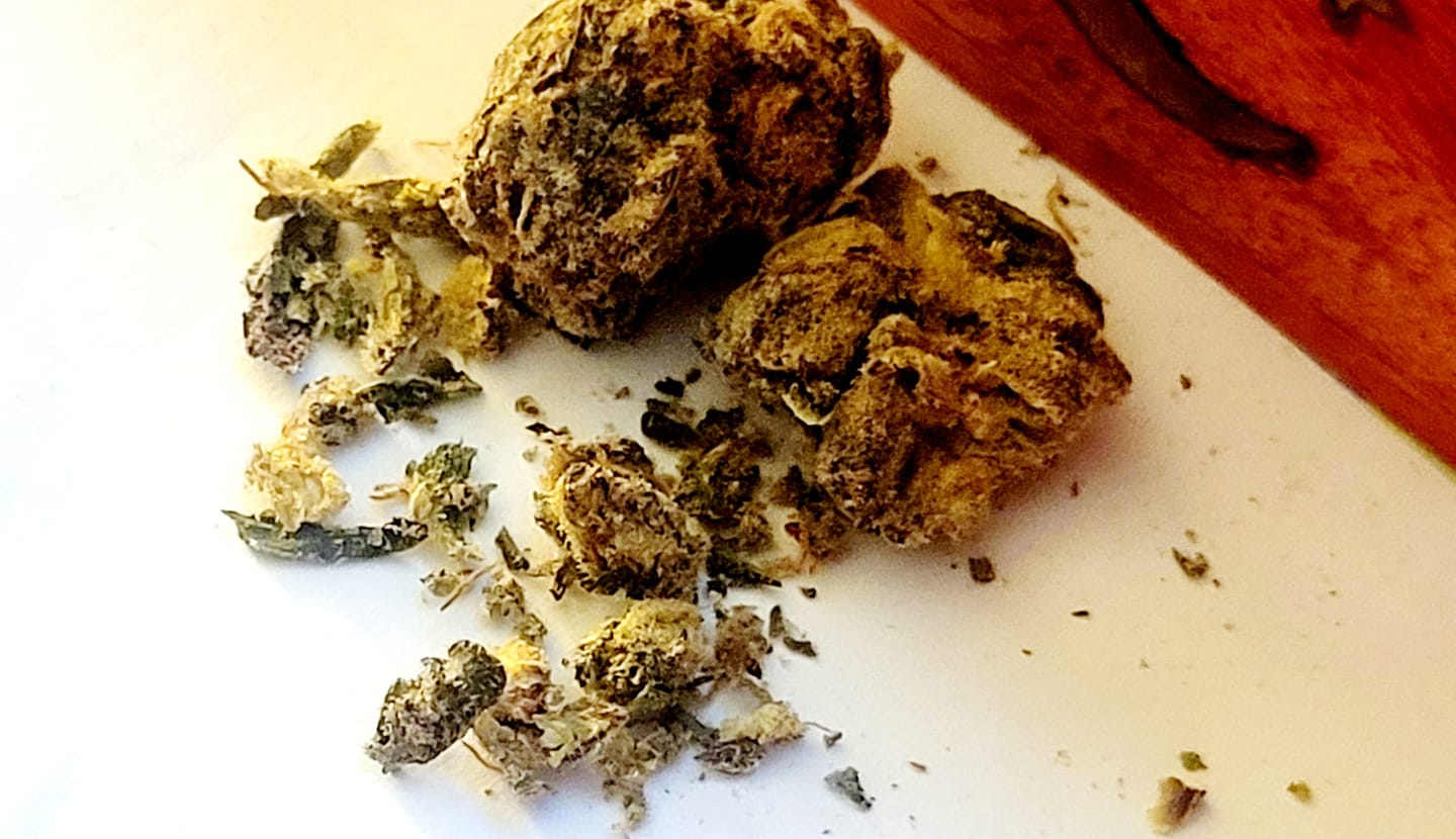 Customer photo review of Indoor Smalls