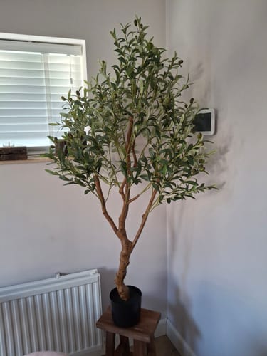 Customer photo review of Kunst Olijfboom 150cm (lichte stam)