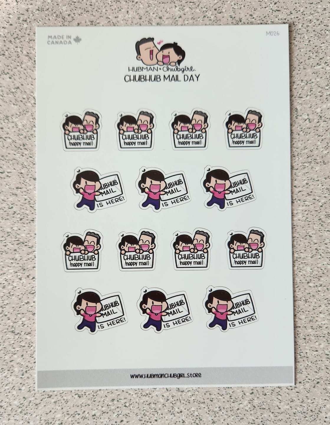 Customer photo review of Chubhub Mail Day Planner Stickers
