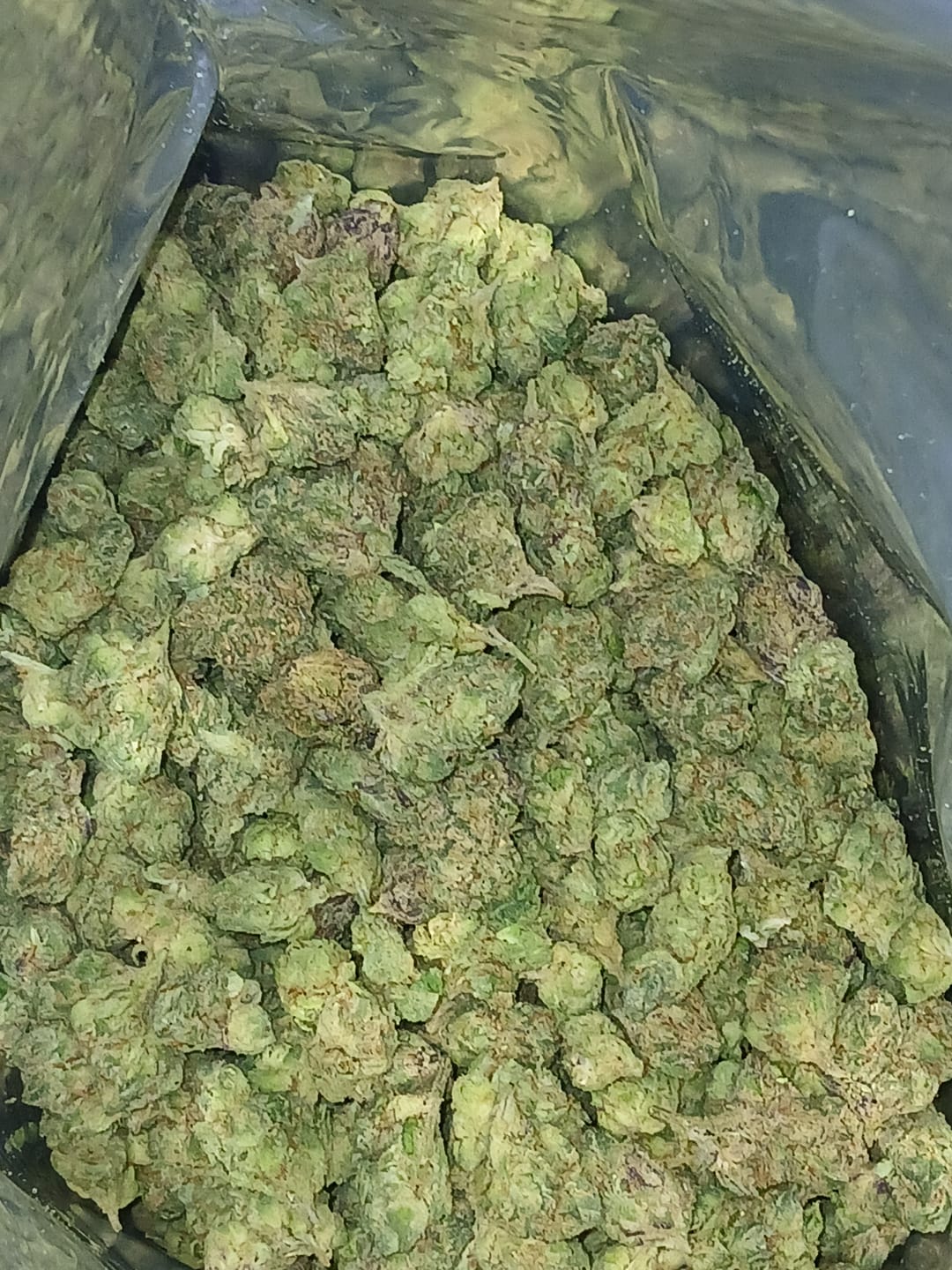 Customer photo review of Indoor Smalls