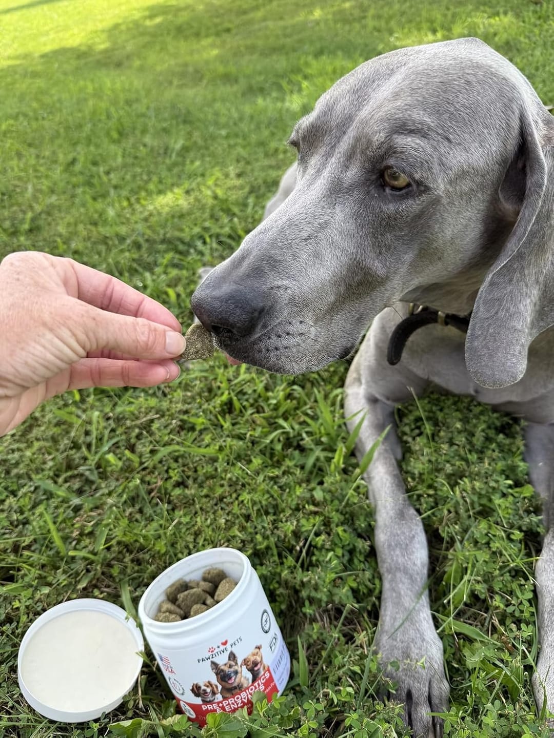 Customer photo review of Probiotics for Dogs Digestive Health