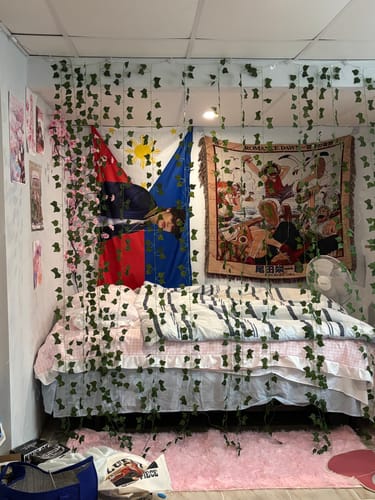 Customer photo review of Tapestry Hanging Pack (Adhesive Hooks and Clips)