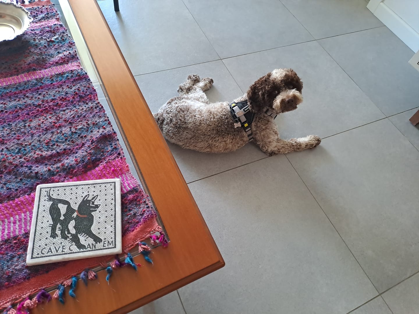 Customer photo review of Piastrella Cave Canem Pompei