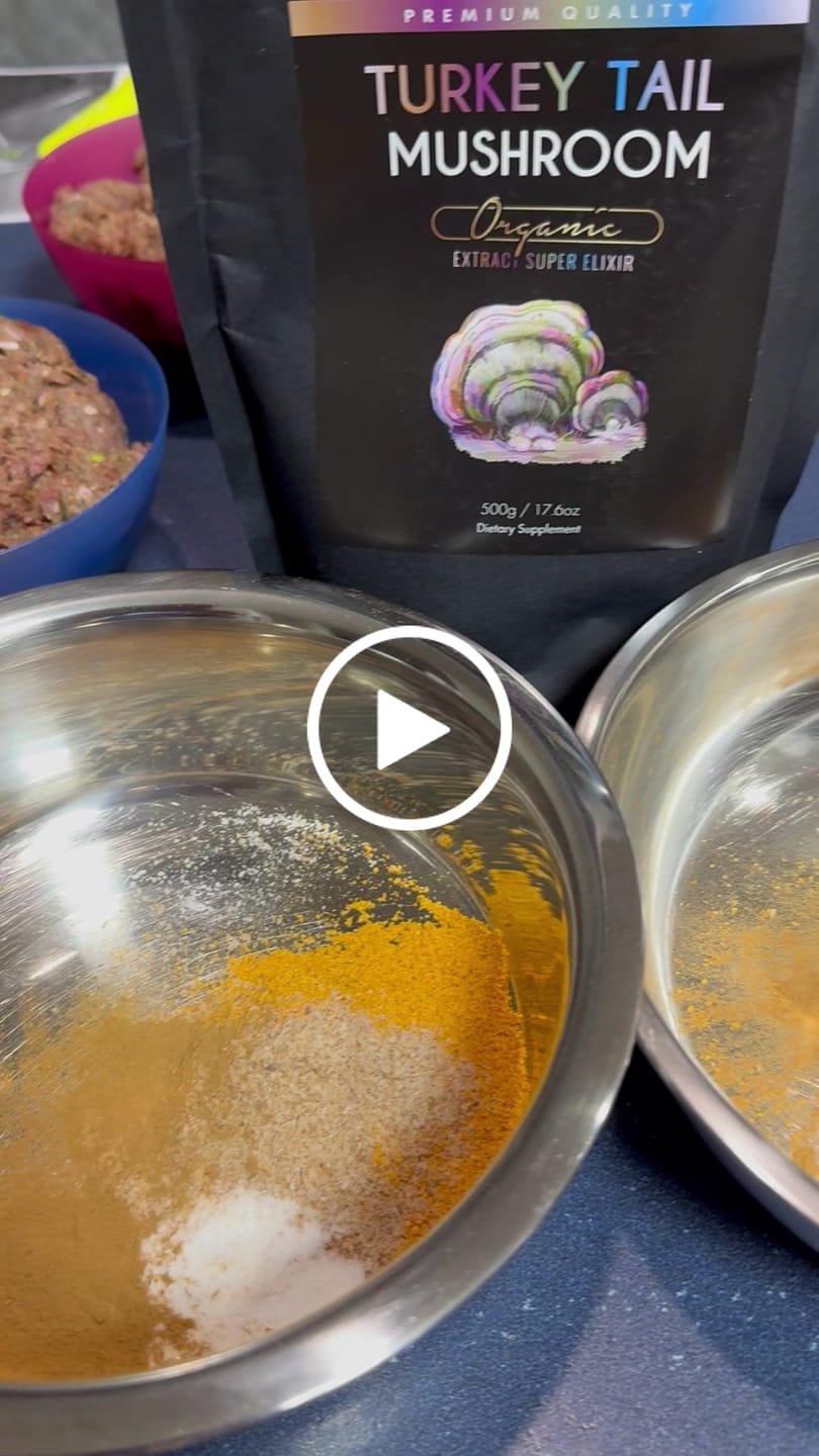 Customer video review of Turkey Tail Mushroom Extract Powder