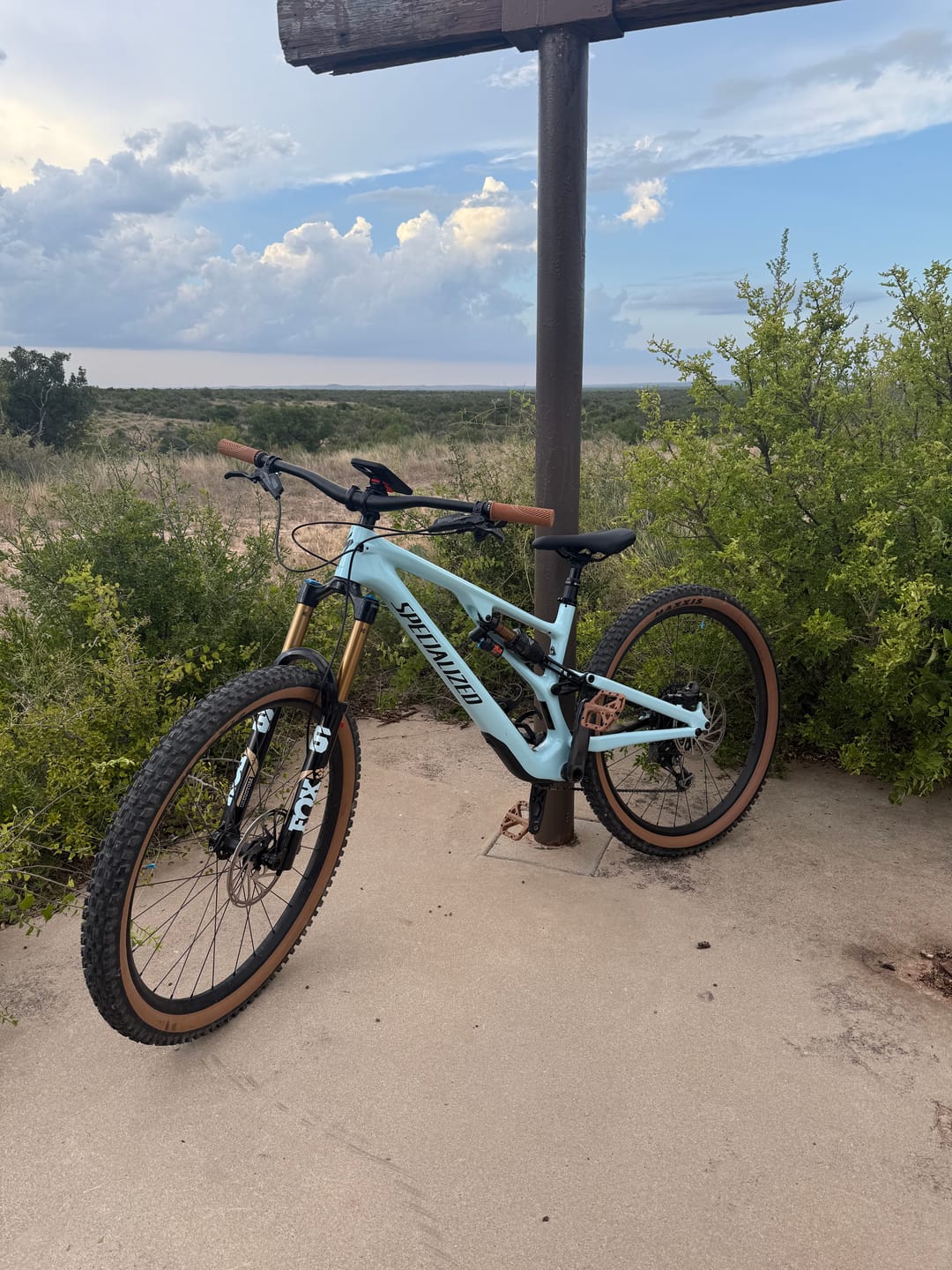 Customer photo review of Custom Fox 36 Decal