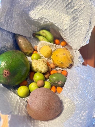 Customer photo review of Tropical Variety Box