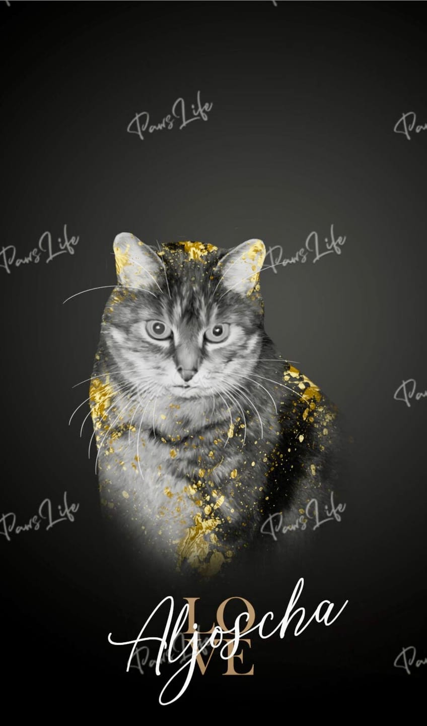 Customer photo review of Personalisierte Portrait Handyhülle – Gold Stil